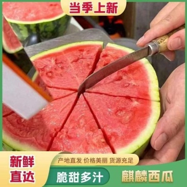 精品美都西瓜产地货源充足对接市场商超欢迎电话联系