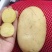 【精品】河北玉田优质黄心土豆大量供货，产地直发服务周到