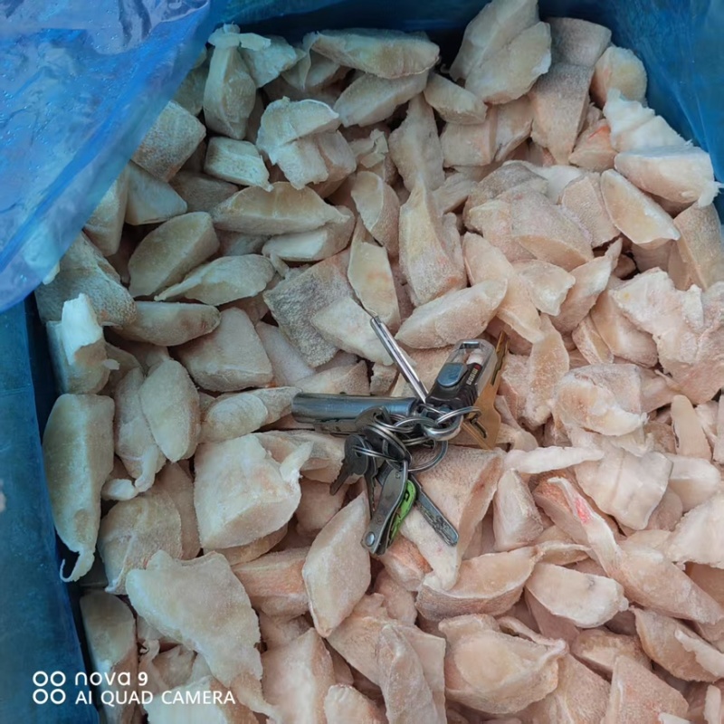 红鱼碎肉，红鱼小块，红鱼段
