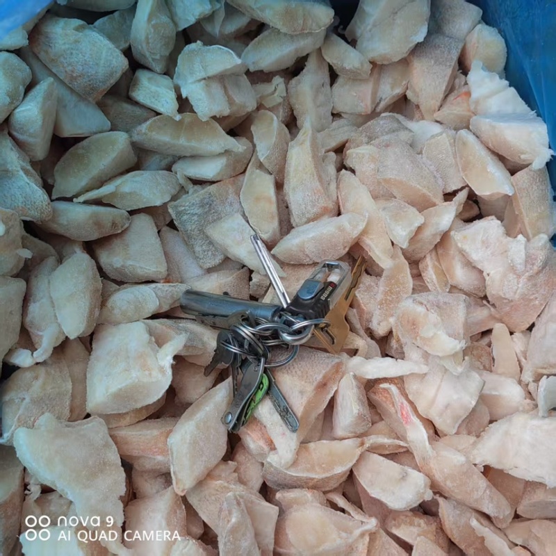 红鱼碎肉，红鱼小块，红鱼段