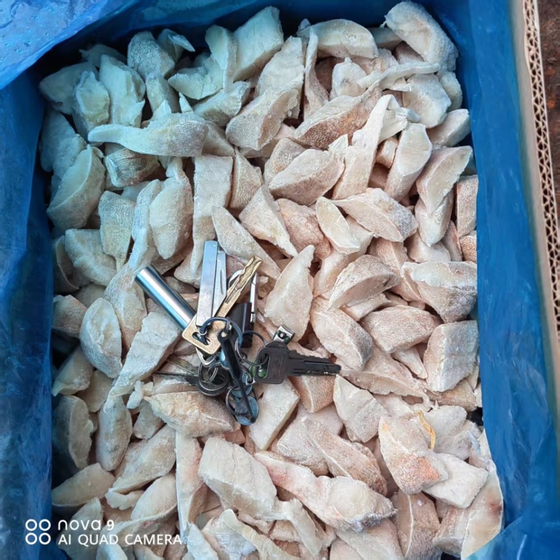 红鱼碎肉，红鱼小块，红鱼段
