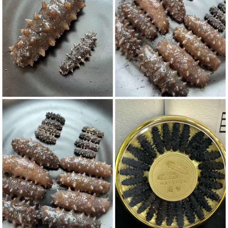 即食海参，规格齐全，高品质
