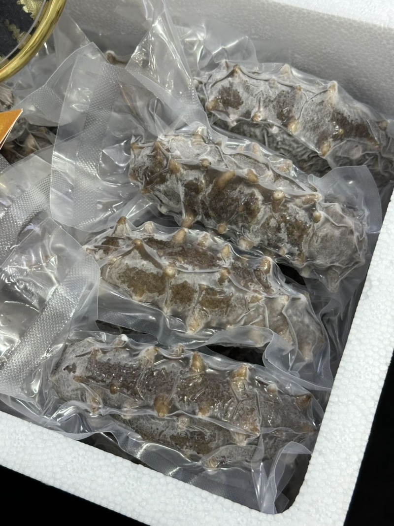 即食海参，规格齐全，高品质