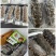 即食海参，规格齐全，高品质