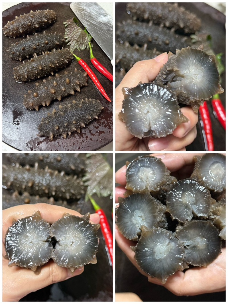 即食海参，规格齐全，高品质