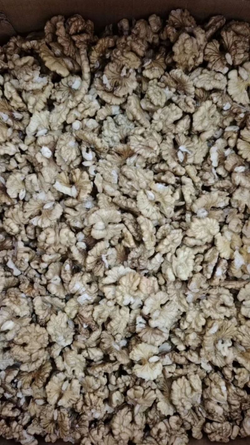 云南核桃仁老树核桃仁新核桃仁，各种规格常年有货