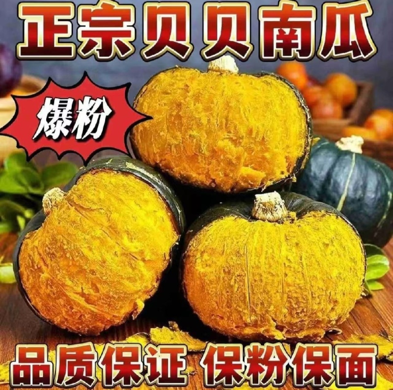 山东临沂贝贝南瓜，粉糯香甜，皮薄肉厚，支持一件代发