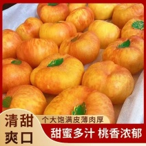 【源头直采】黄金蟠桃自家果园现摘现发欢迎来电咨询