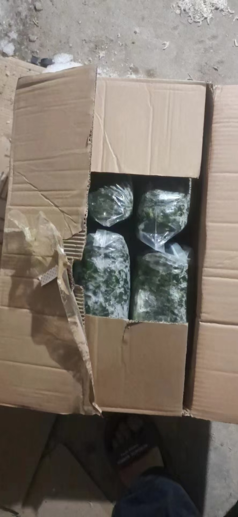优选山东潍坊山苜楂山菜山蚂蚱鲜货冻品品质保障诚信