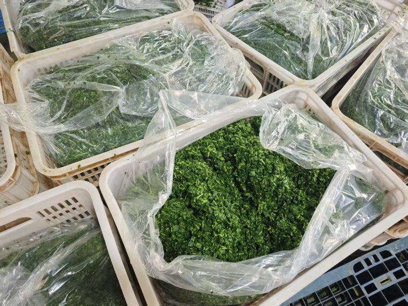 甄选山东潍坊山苜楂山菜山蚂蚱自己种植品质保障