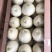 美浓甜瓜