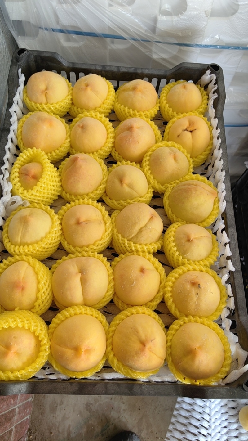 蒙阴黄桃新鲜黄油桃黄毛桃黄金蜜4号黄金蜜2号甜黄金黄锦绣