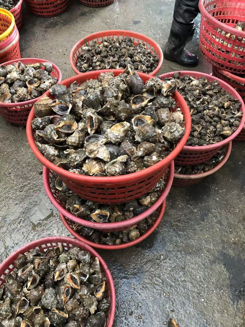 各类海鲜水产