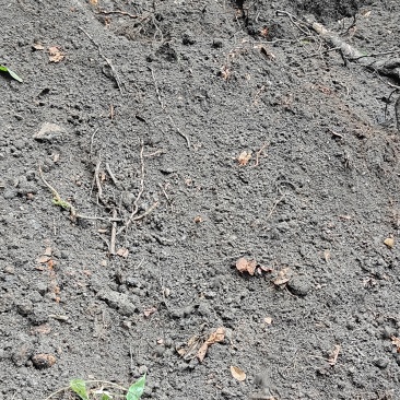 种植腐植土，种植黄土，种植风化石