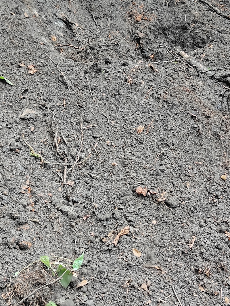 种植腐植土，种植黄土，种植风化石
