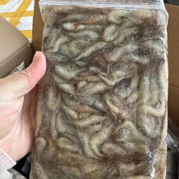 速冻山坑虾小河虾（产地直销）品质保证强大供应链合作可聊