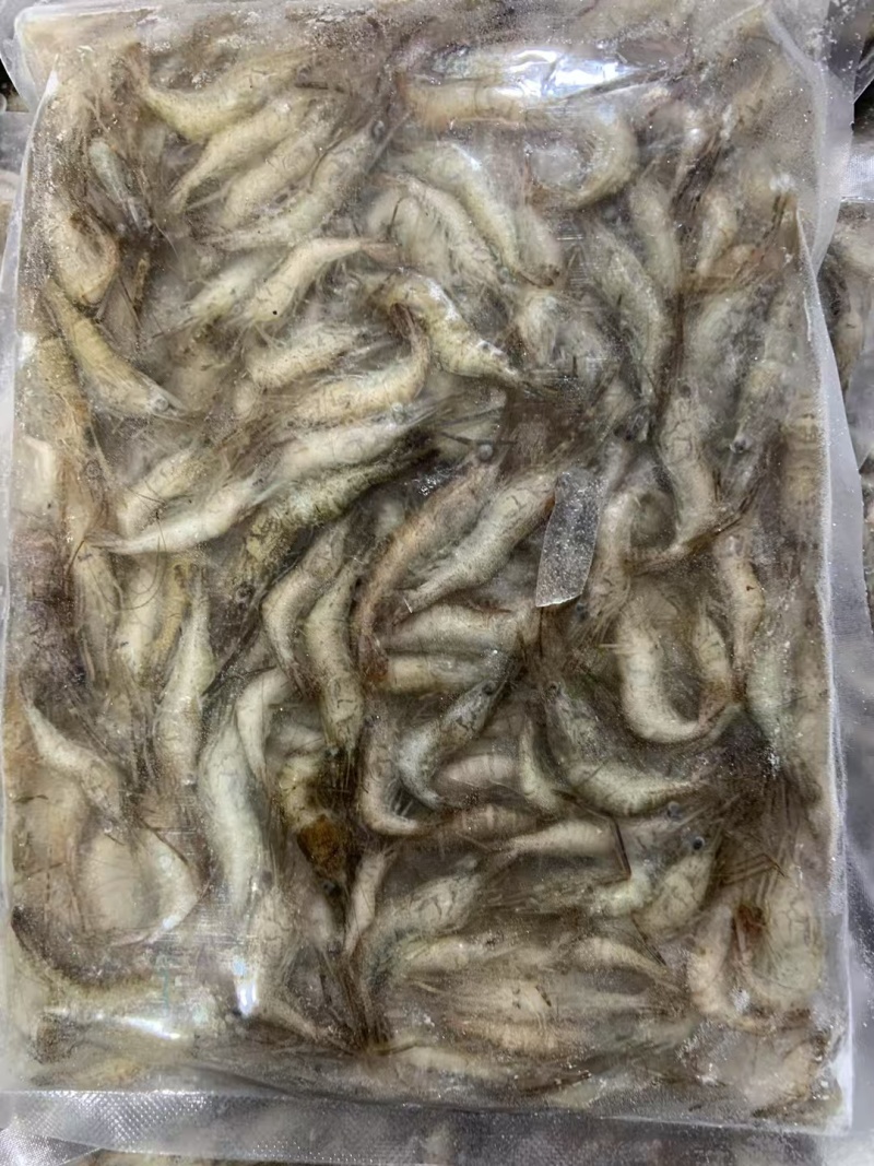 速冻山坑虾小河虾（产地直销）品质保证强大供应链合作可聊