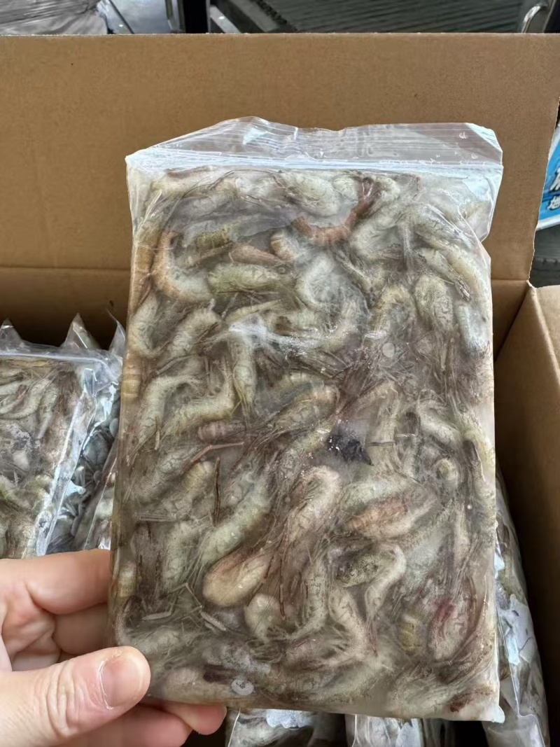 速冻山坑虾小河虾（产地直销）品质保证强大供应链合作可聊