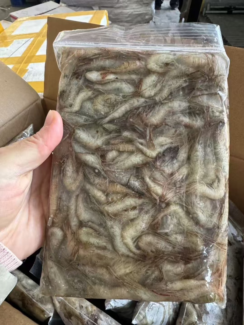 速冻山坑虾小河虾（产地直销）品质保证强大供应链合作可聊