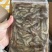 速冻山坑虾小河虾（产地直销）品质保证强大供应链合作可聊