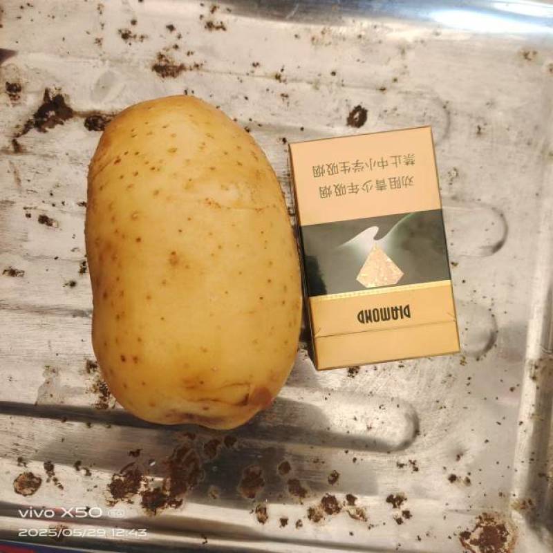 黄心土豆通货