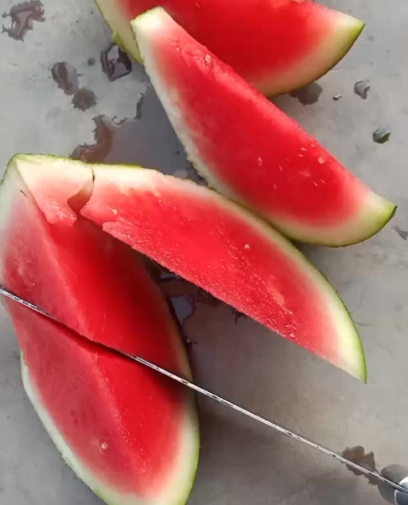黑无籽西瓜美都8424麒麟海量货源基地直发
