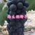 南太湖特早葡萄/江苏新沂产地/现摘现发/欢迎来电洽谈合作