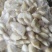 青菱角嫩菱角老菱角水红菱自产自销量大从优现摘现发