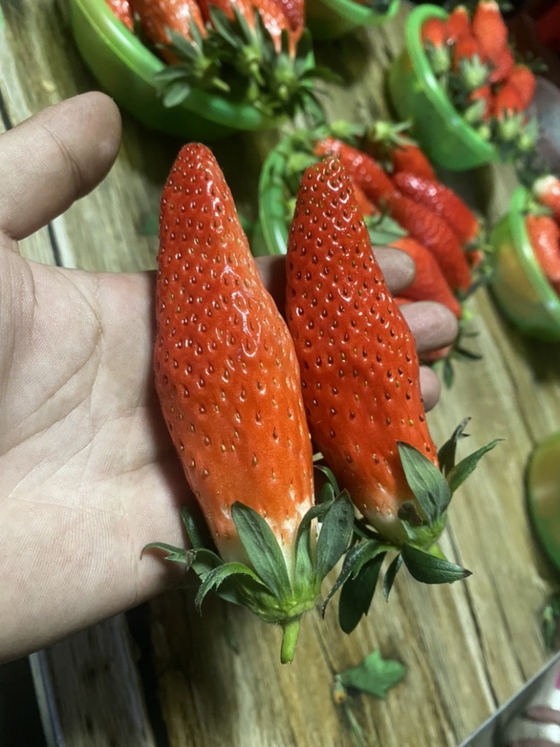 自己种植香蕉草莓多年有需要的可联系