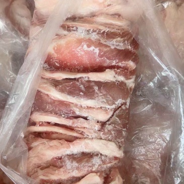 月牙骨