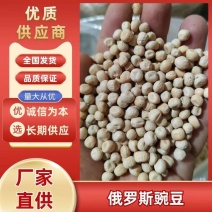《俄罗斯豌豆》白豌豆/干豌豆/大吨位供应/全国批发