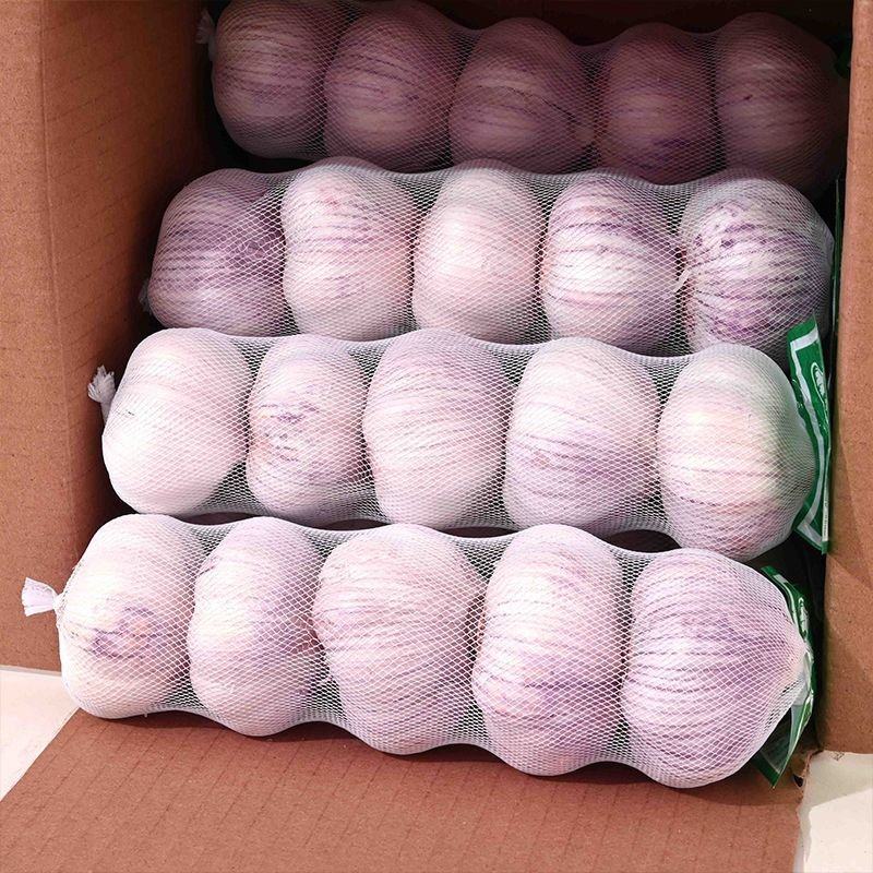 【富之鲜】金乡大蒜头大果网兜彩箱装正宗紫皮大蒜干蒜
