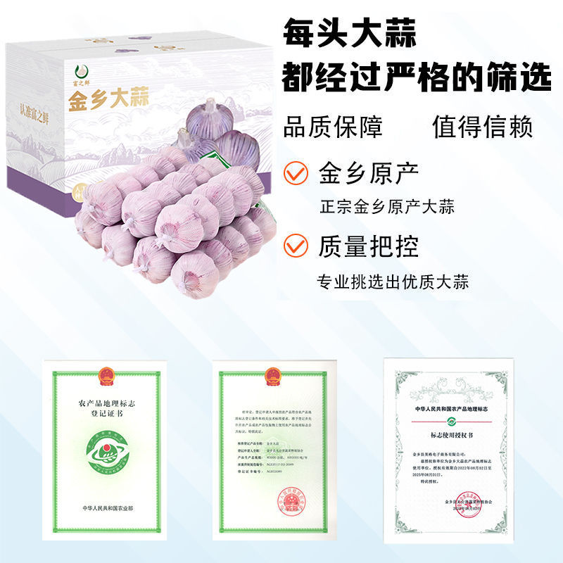 【富之鲜】金乡大蒜头大果网兜彩箱装正宗紫皮大蒜干蒜