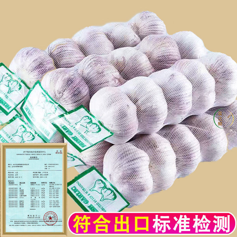 【富之鲜】金乡大蒜头大果网兜彩箱装正宗紫皮大蒜干蒜