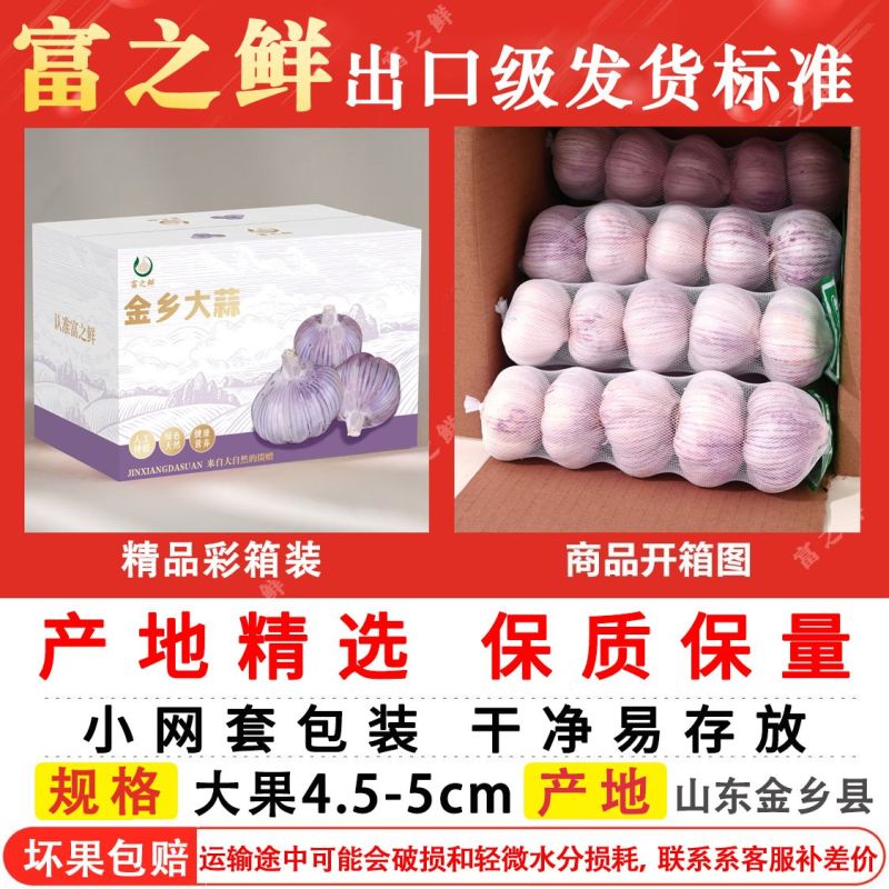 【富之鲜】金乡大蒜头大果网兜彩箱装正宗紫皮大蒜干蒜