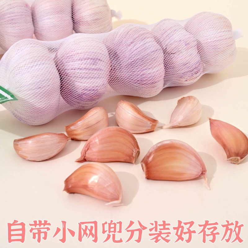 【富之鲜】金乡大蒜头大果网兜彩箱装正宗紫皮大蒜干蒜