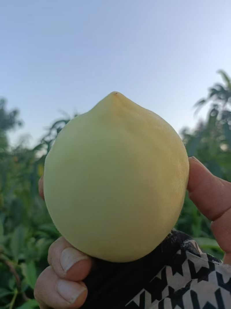 纸袋突围