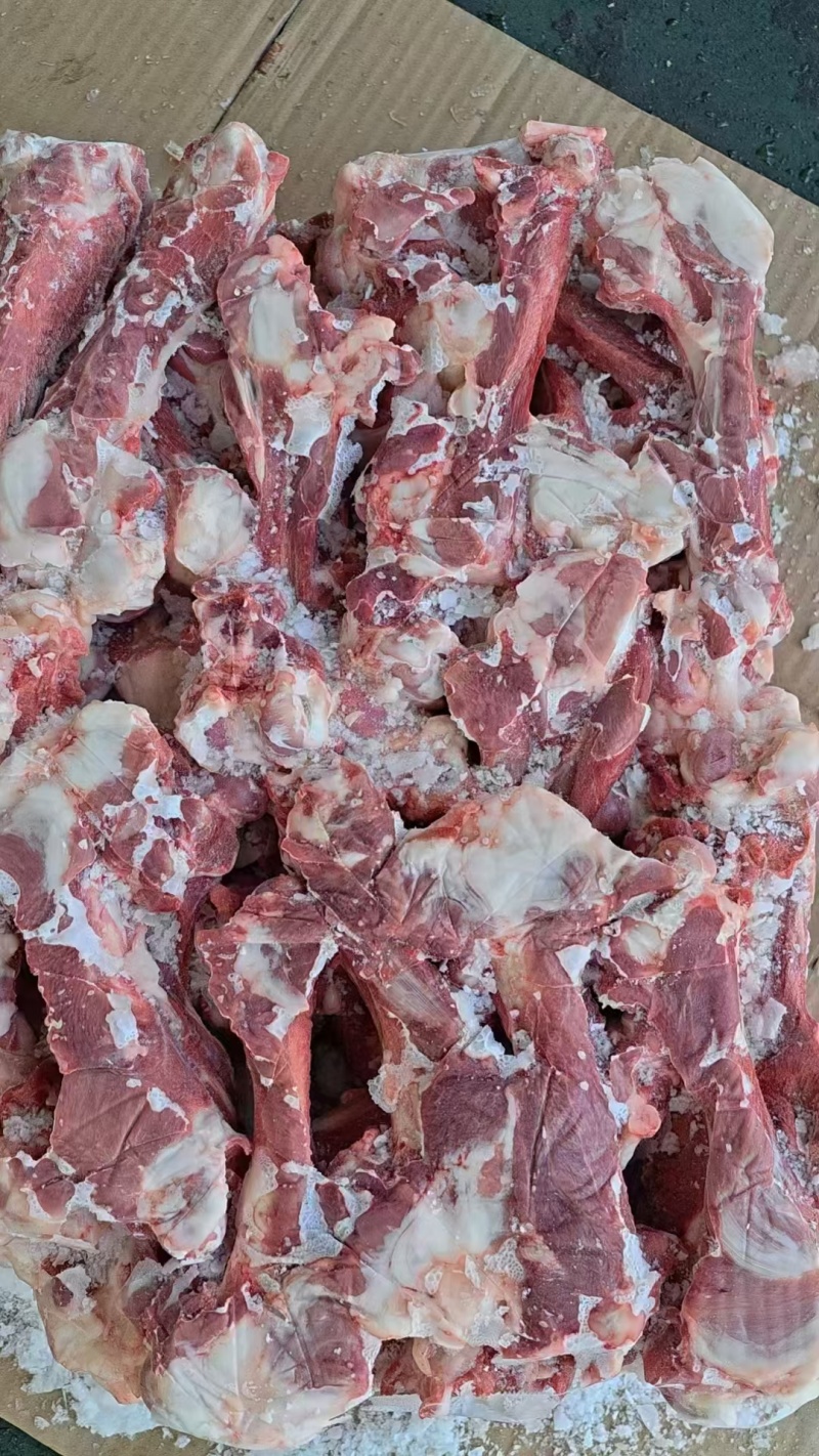 【羊棒骨】绵羊的带肉棒骨！新鲜速冻货源稳定！量大优惠