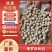 《俄罗斯豌豆》白豌豆/干豌豆/饲料原料/全国批发