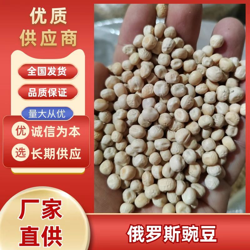《俄罗斯豌豆》白豌豆/干豌豆/饲料原料/全国批发
