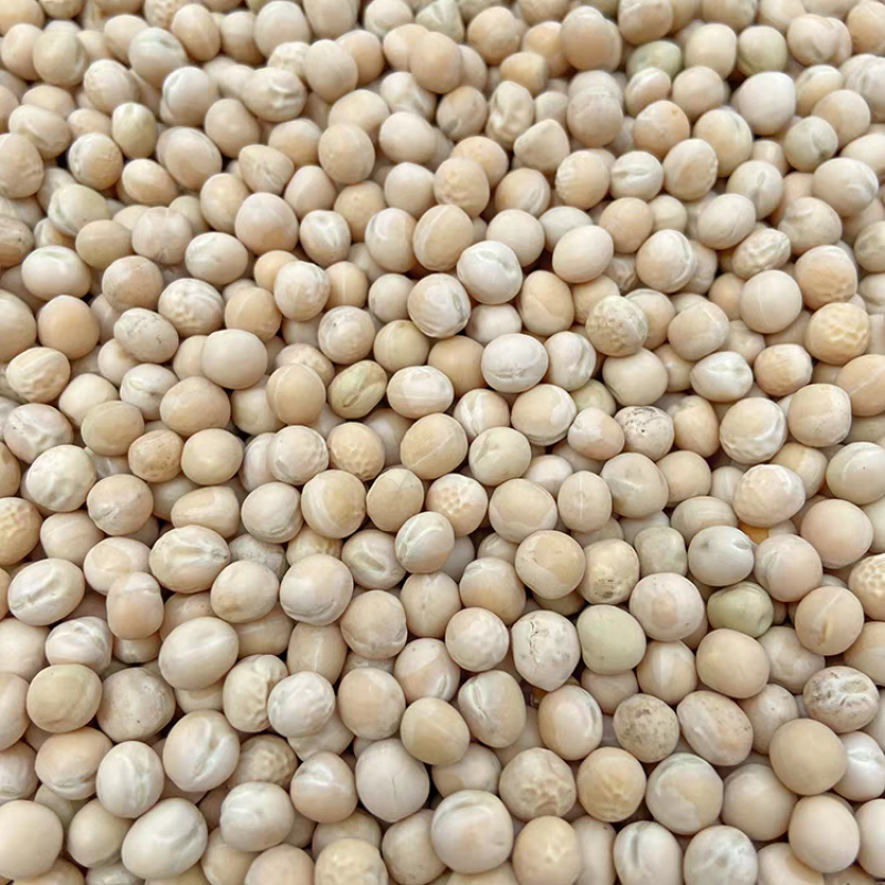 《俄罗斯豌豆》白豌豆/干豌豆/饲料原料/全国批发