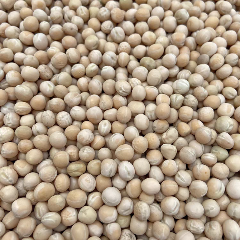 《俄罗斯豌豆》白豌豆/干豌豆/饲料原料/全国批发