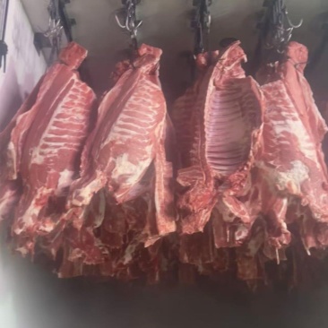 东北**精品排骨批发基地，支持全国冷链发货