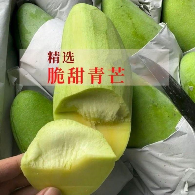 【生熟两吃】广西特产酸嘢水果芒果脆甜芒果大青芒脆甜金煌芒