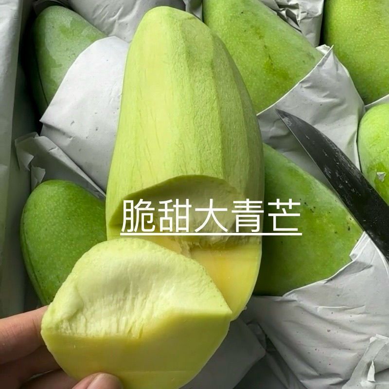 【生熟两吃】广西特产酸嘢水果芒果脆甜芒果大青芒脆甜金煌芒