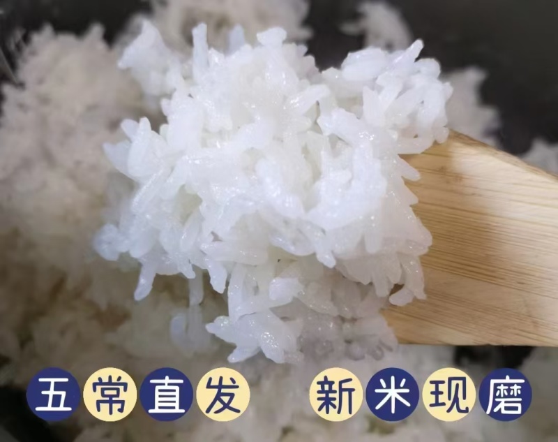 纯五常稻花香二号大米农户自产自销