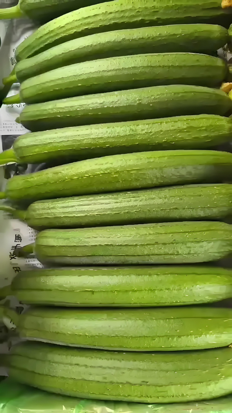 油皮丝瓜/中牟油皮丝瓜/自产自销大量上市/质量上乘