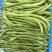 【四季豆】架豆王豆角基地直发供应全国市场电商商超