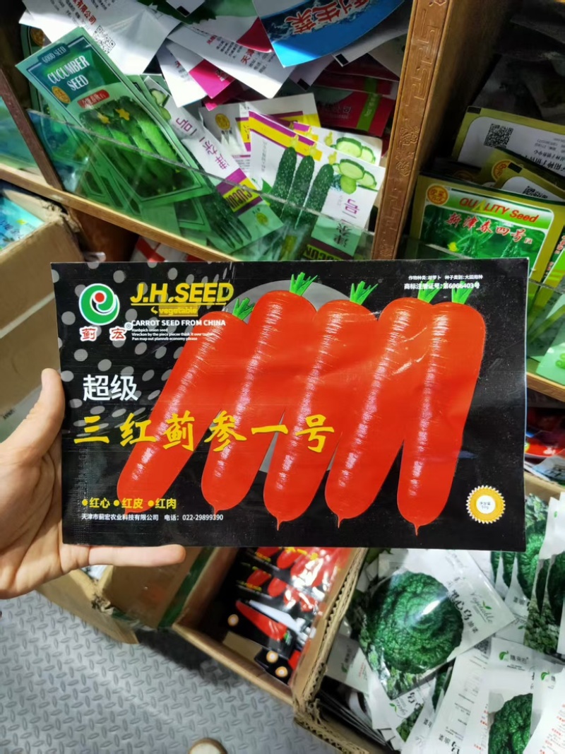 胡萝卜种子生长期95天左右中早熟根色橙红肉质细嫩
