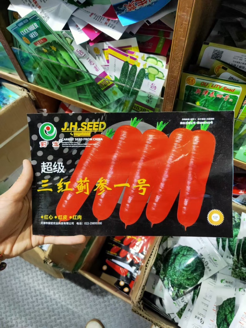 胡萝卜种子生长期95天左右中早熟根色橙红肉质细嫩